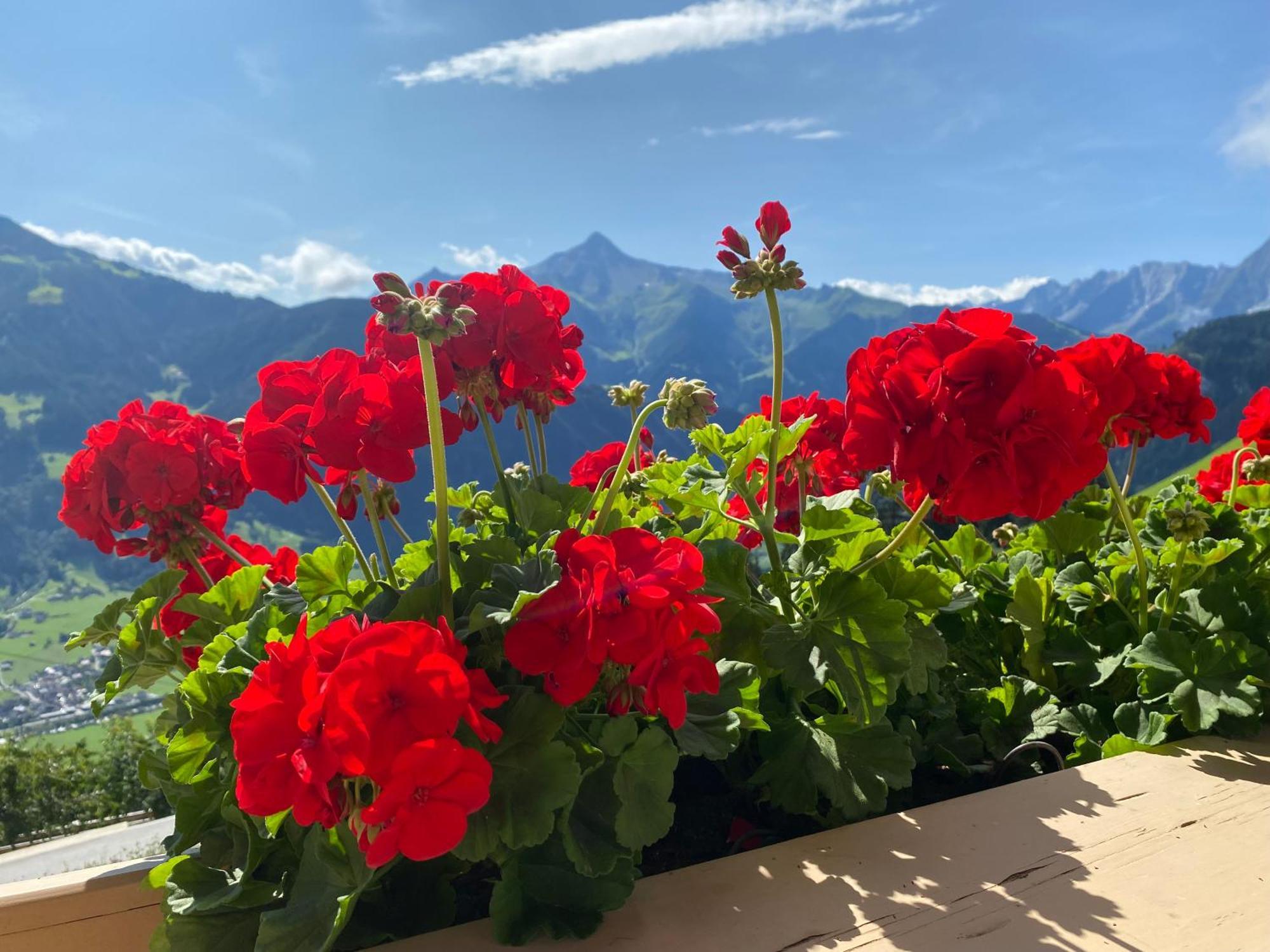 Ferienhaus Johanna In Mayrhofen-Hippach- Naehe Der Skipiste Exteriör bild